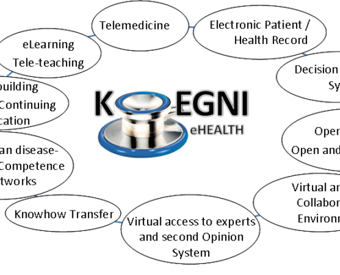 Current application and services of Koegni-eHealth